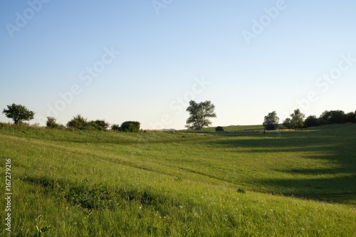 Sunset on meadow with hills and tree. Slovakia