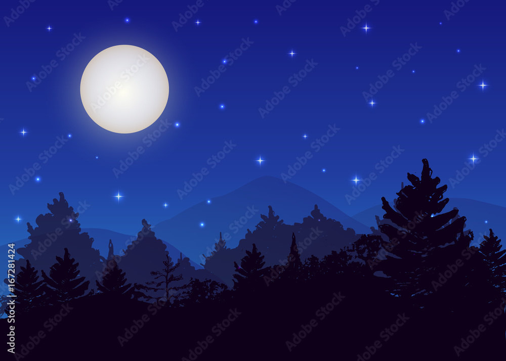 Vector night landscape with spruce forest, strarry sky and full moon. Vector night landscape with spruce forest, strarry sky and full moon.