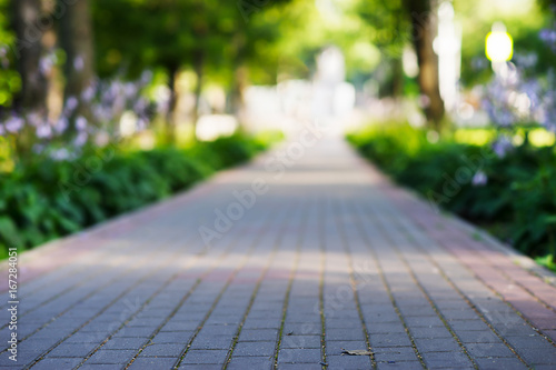 Low angle park path landscape background photo