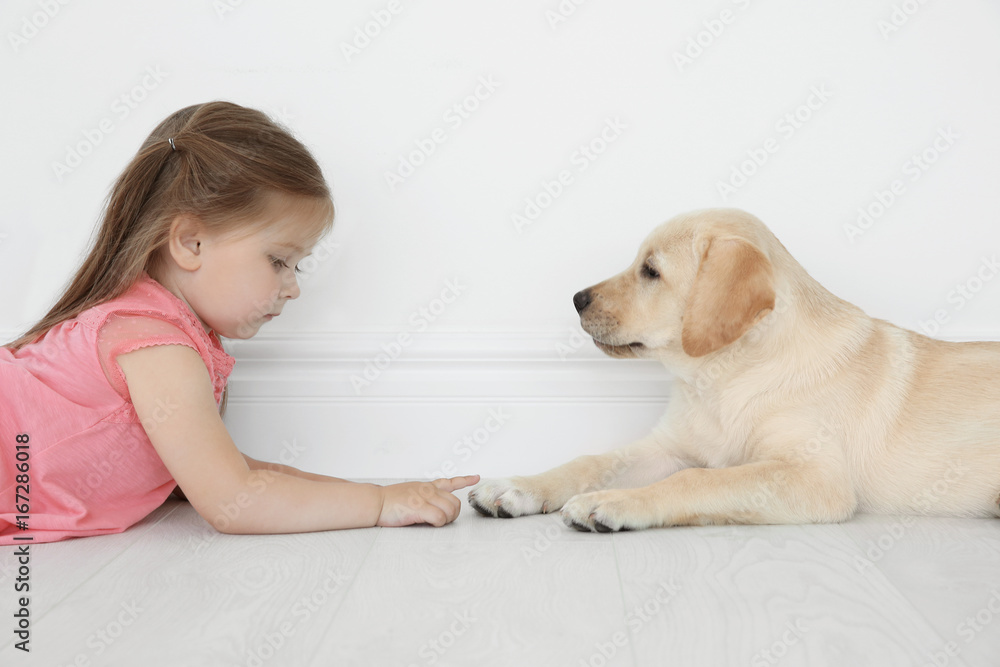 Cute child with Labrador Retriever at home Cute child with Labrador Retriever at home