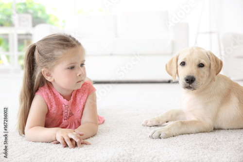 Cute child with Labrador Re...
