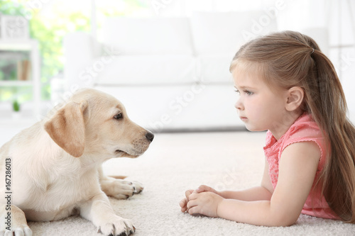 Cute child with Labrador Re...