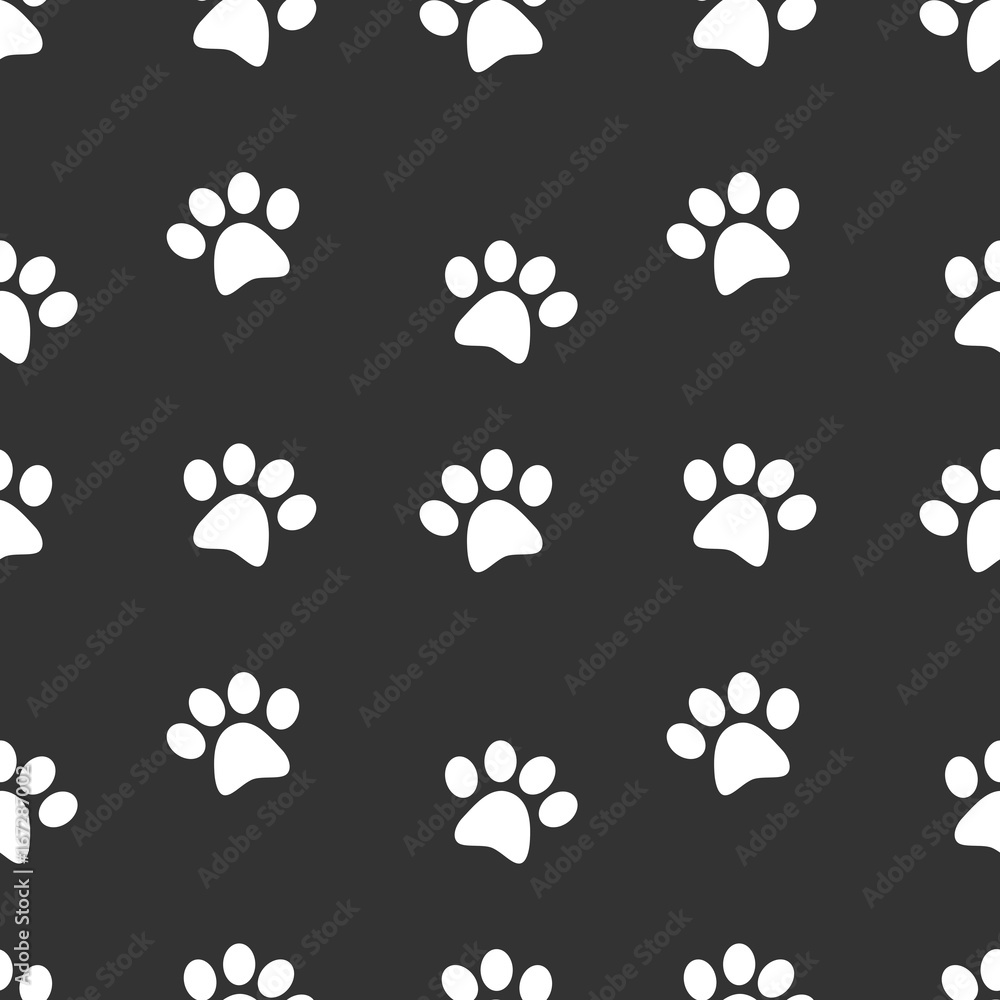 Fototapeta premium Animal footprints vector
