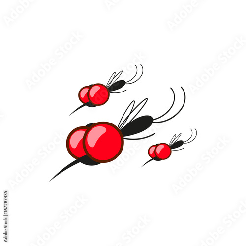 Mosquito isolated on white background.