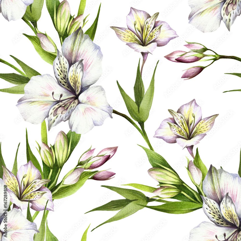 Seamless pattern with alstroemeria. Hand draw watercolor illustration.