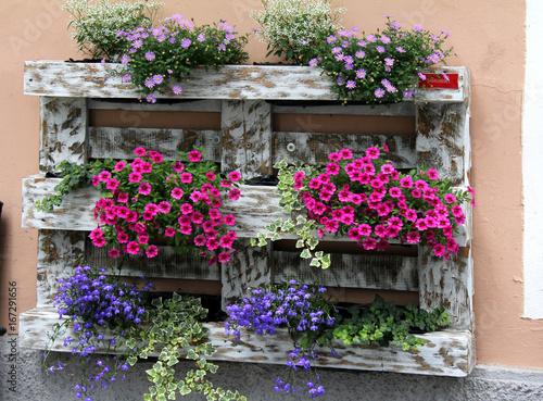 Fototapeta Naklejka Na Ścianę i Meble -  pallet fiorito in via Città Nuova a Vipiteno