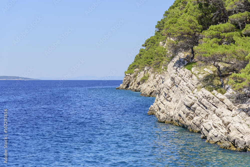 Pine on the shore of the blue sea. Image in autumn colors. Croatia.