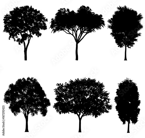 Vector illustration of tree silhouettes for architectural compositions with backgrounds  