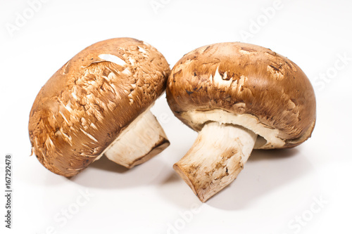A pair of brown champignon mushrooms isolated on a white background