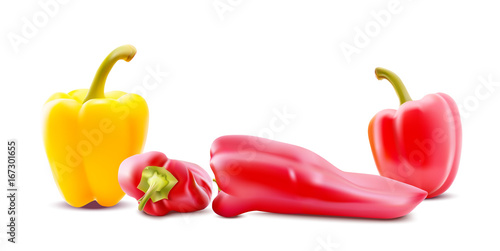 Different sorts of hot peppers in all colors, shapes and sizes. Chilly peper icons. Vector Illustrations.