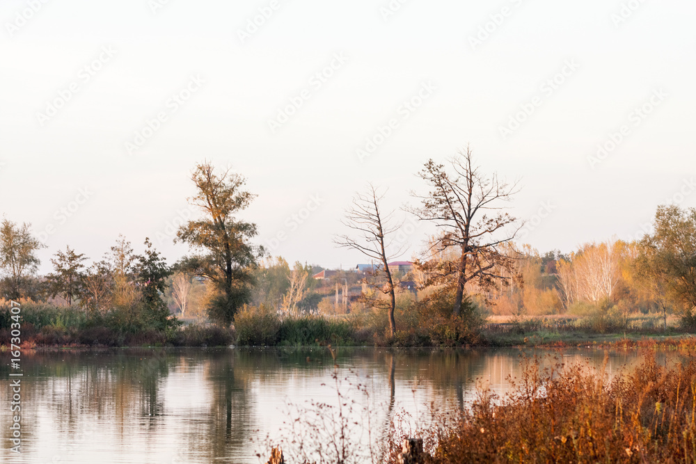 Fototapeta premium Autumn landscape with water and reflexions
