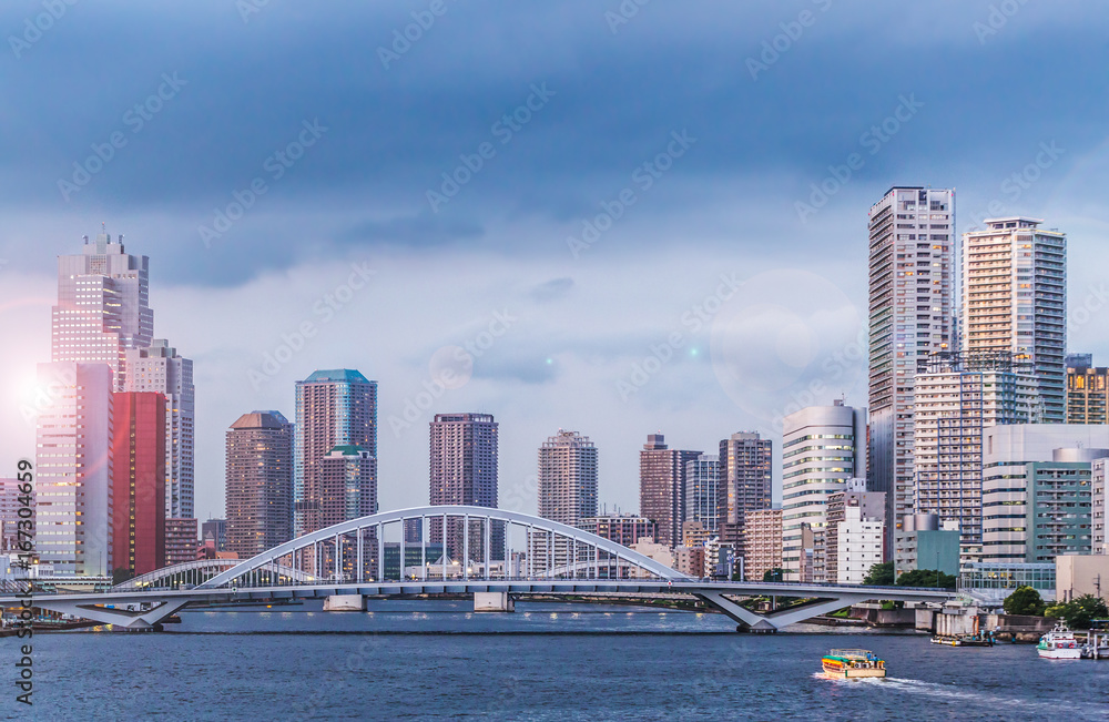 Fototapeta premium 東京の海
