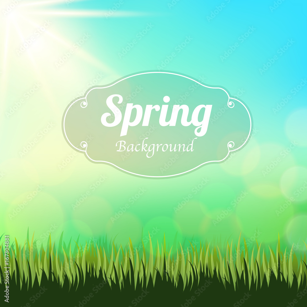 Spring background template with shiny blue sky and foliage 