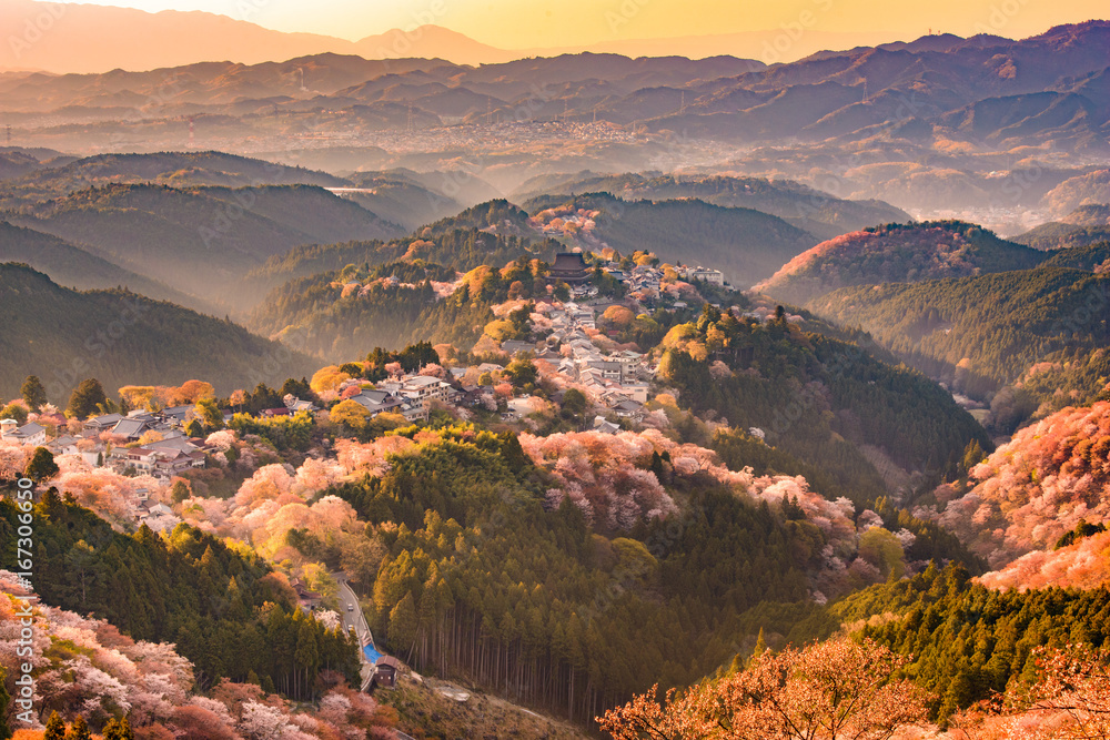 Obraz premium Yoshinoyama, Japonia wiosną