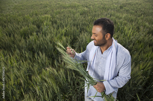 Indian man holding crop plant 