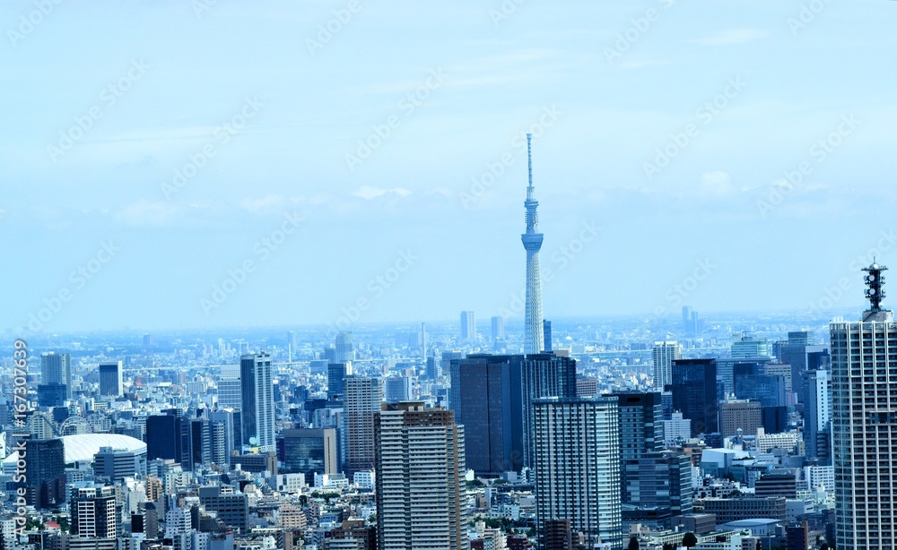 Fototapeta premium 東京の風景 日本