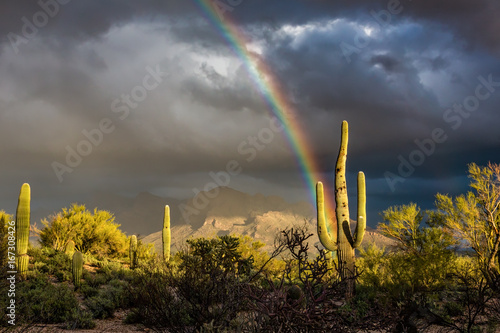 Rainbow Says You're Welcome photo