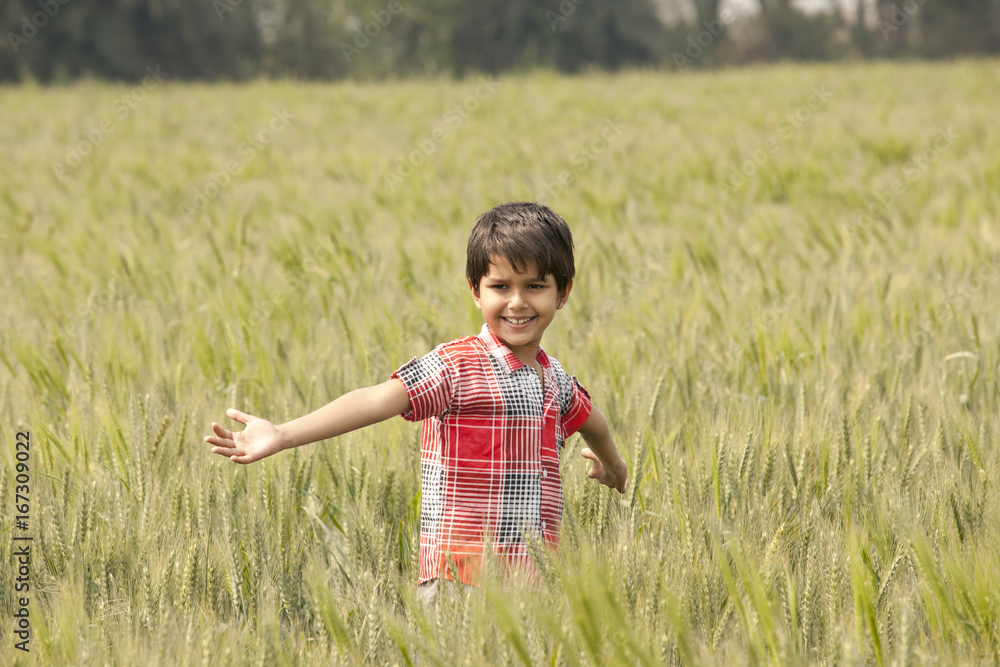Little Indian boy standing in a wheat field with arms out Little Indian boy standing in a wheat field with arms out