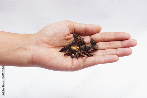 Spices On Hand Over White Background