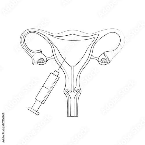 Female reproductive organ with injection vector illustration design