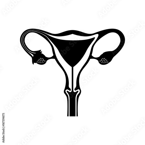 Female reproductive organ icon vector illustration design