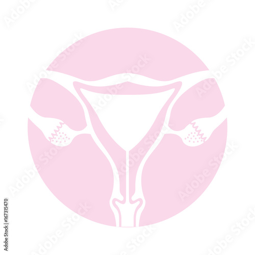 Female reproductive organ icon vector illustration design