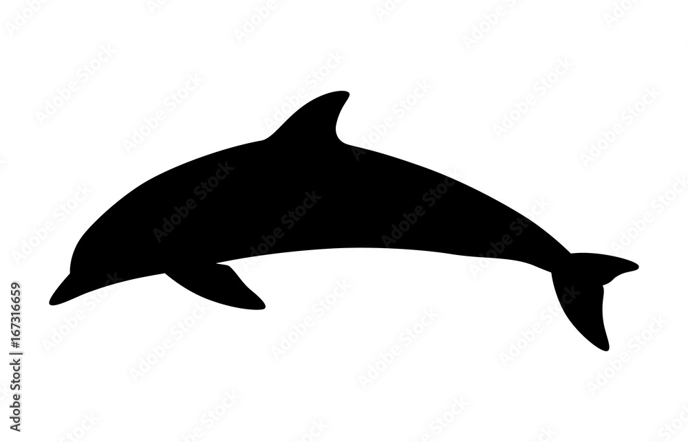 Obraz premium Dolphin aquatic mammal vector icon for animal apps and websites 