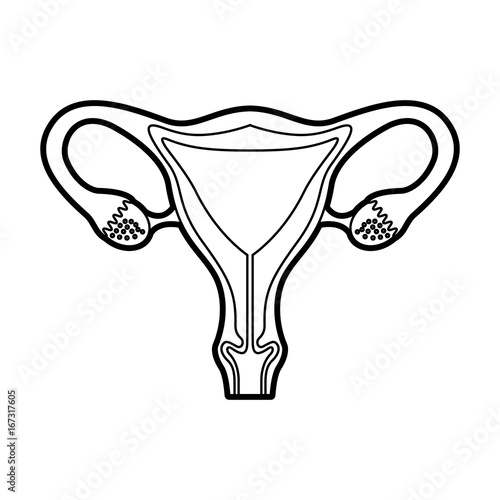 Female reproductive organ icon vector illustration design