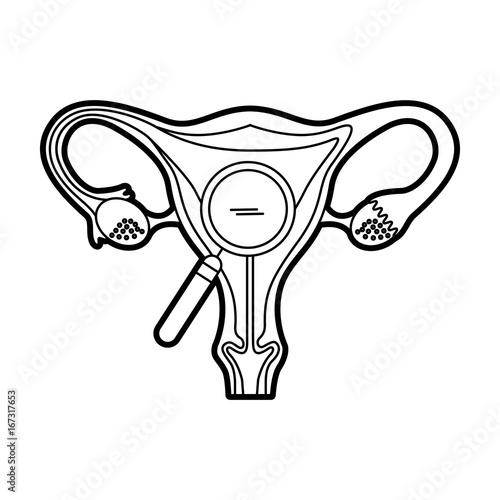 Female reproductive organ with magnifying glass vector illustration design