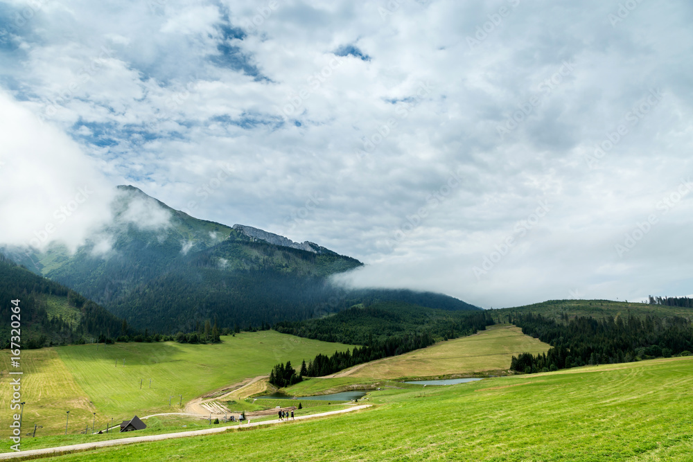 Green meadow and mountains in the clouds, national park in Slovakia.