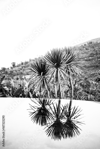 palm reflection