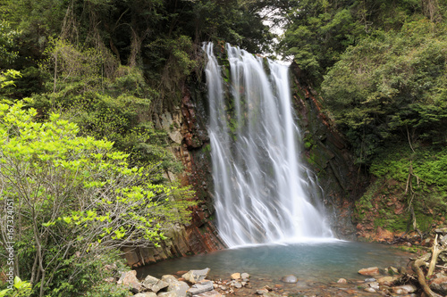 Fototapeta Naklejka Na Ścianę i Meble -  Maruo waterfall in Kirishima Japan