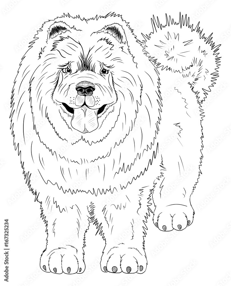 Coloring book with Chinese Chow Chow dog. ilustración de Stock | Adobe Stock