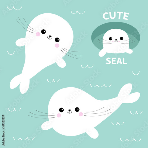 Harp baby seal pup set. Cute cartoon character. Ice-hole. Happy baby animal collection. Swimming floating on water with wave. Blue background. Flat design