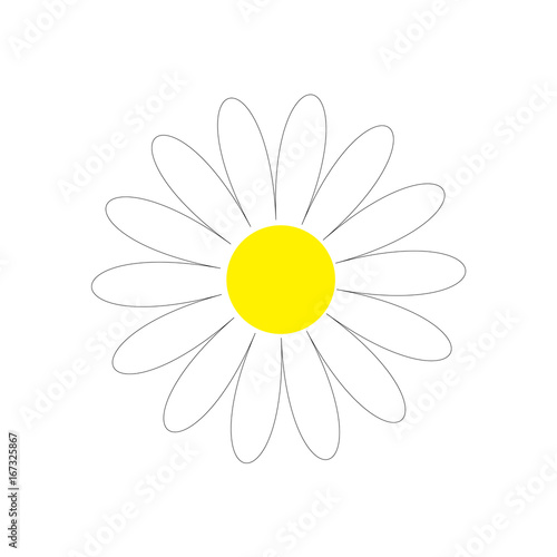 Daisy chamomile. Cute flower plant collection. Love card. Camomile line icon Yellow centre. Growing concept. Flat design. White background. Isolated.
