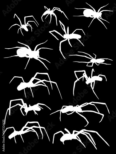 twelve isolated white spiders illustration