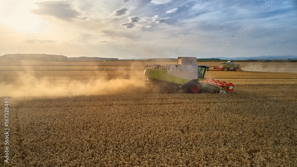 Fototapeta premium Aerial view on combine harvester gathers the wheat at sunset. Harvesting grain field, crop season. Side view on harvester in the partly harvested field against sunset sky, Europe.