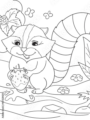 Cartoon coloring book black and white Nature. American, northern raccoon and coon washes strawberries