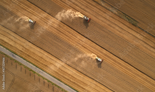 Photos Aerial view on three combine harvesters gathers the wheat at sunset