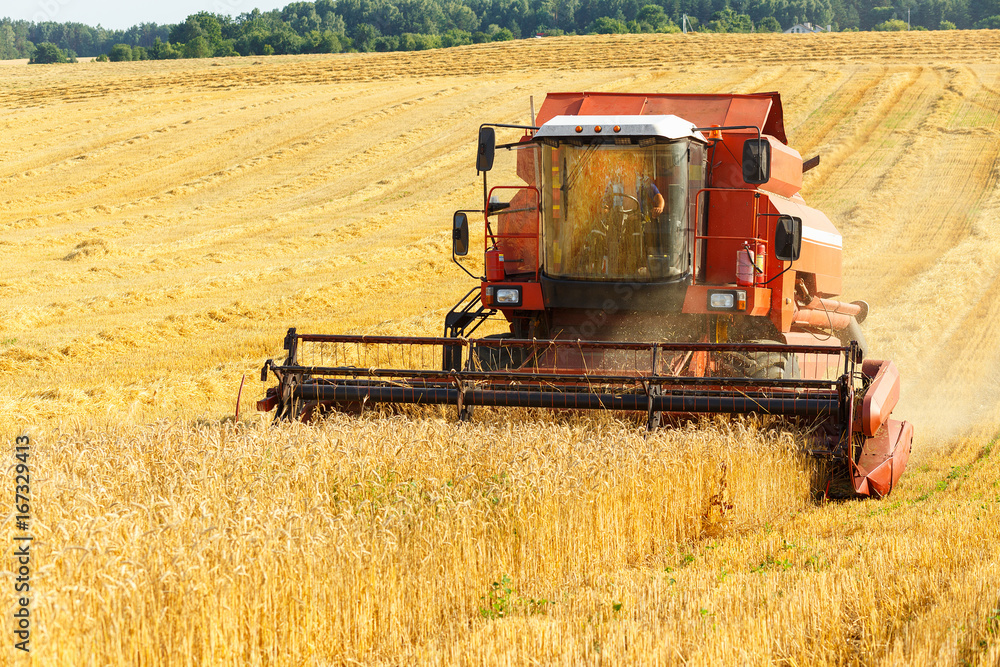 Fototapeta premium combine harvester