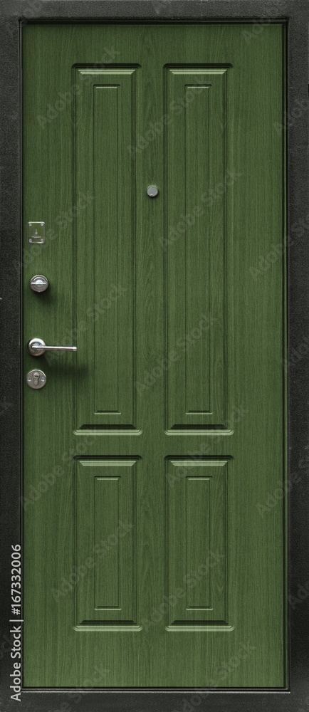 Entrance door (metal door) Entrance door (metal door)