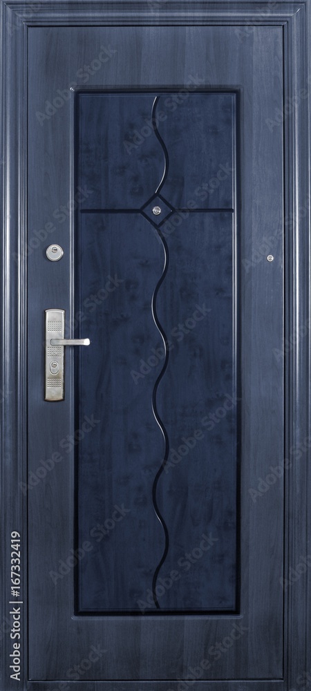 Fototapeta premium Entrance door (metal door)
