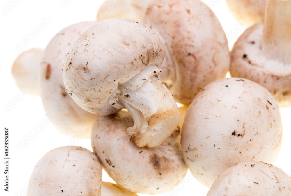 Mushrooms champignons on a white background Mushrooms champignons on a white background