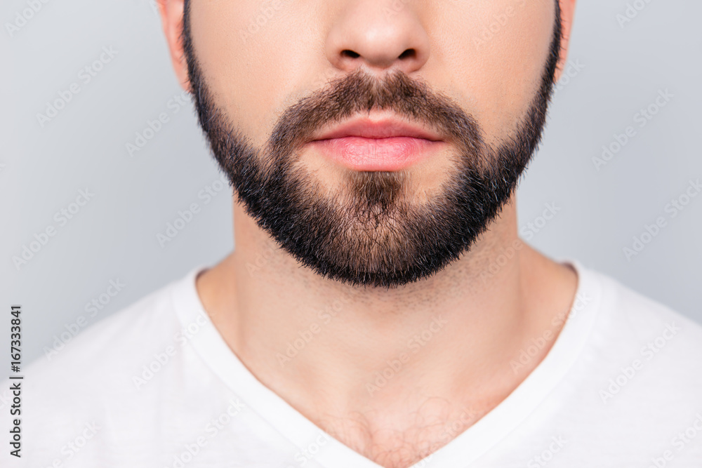 Obraz premium Close up cropped photo of a styling of a brunet`s guy beard, isolated on pure light blue background. So trendy and stylish! Advertising and barber shop concept