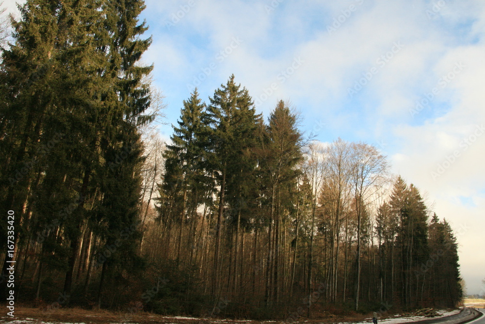 Wälder Wälder