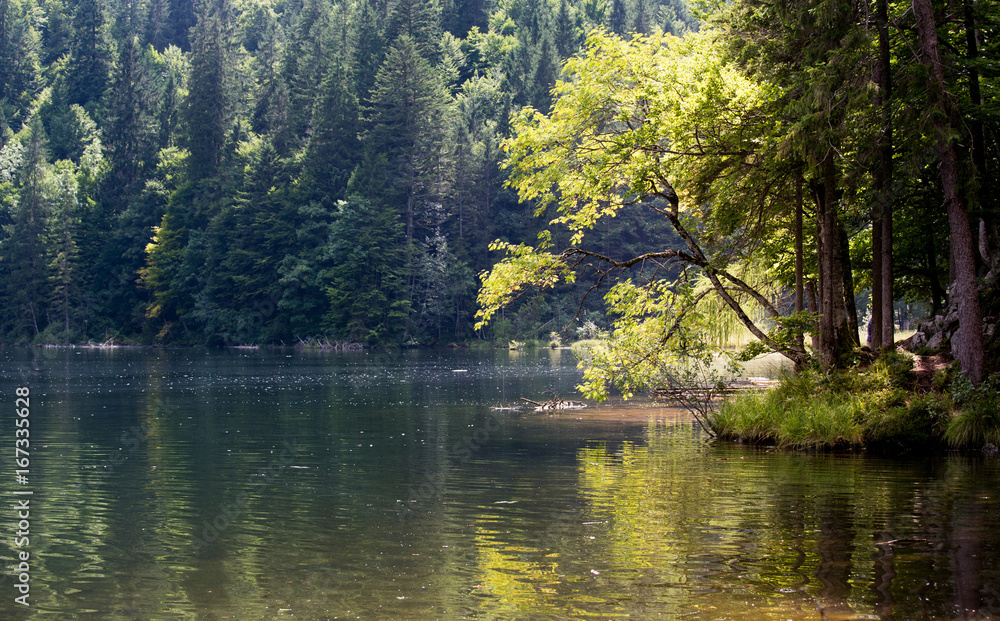 Naklejka premium Mountain lake in summer