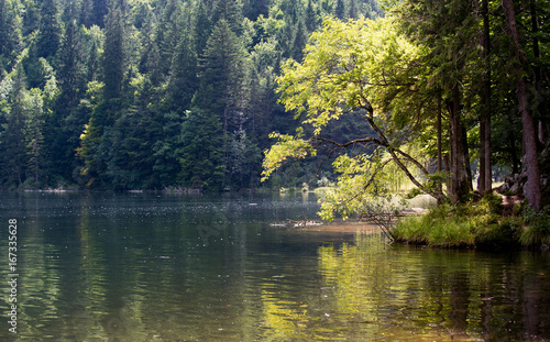 Mountain lake in summer