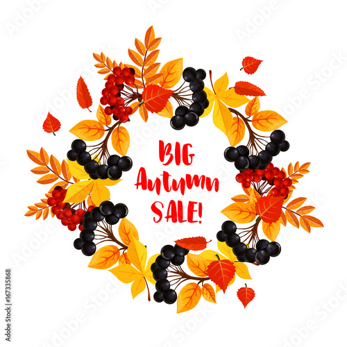 Autumn sale vector poster of leaf fall or berry
