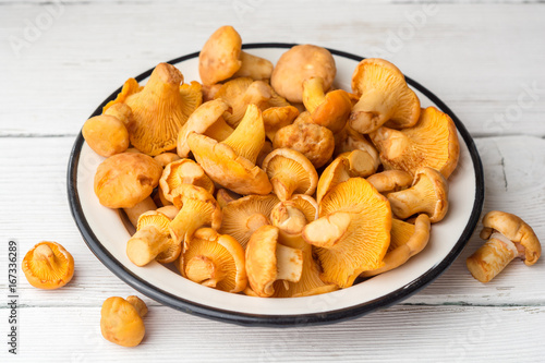 Raw mushrooms chanterelle in plate on white wooden background.