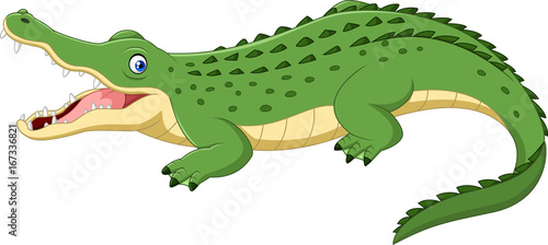 Cartoon crocodile isolated on white background photo